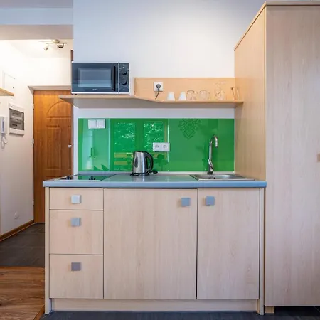 Aparteo Apartamenty Strzelcow Podhalanskich 34 Koscielisko Exterior photo
